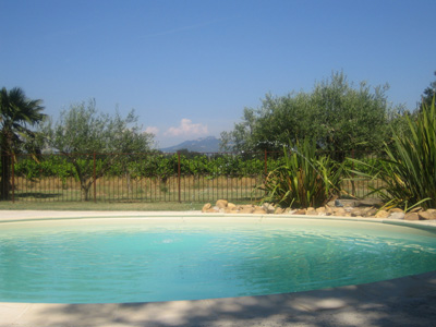 La piscine avec vue sur le Ventoux